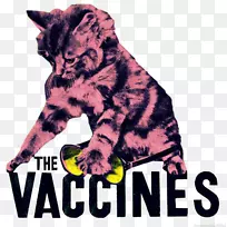 ����YouTube��èSziget��-YouTube-������