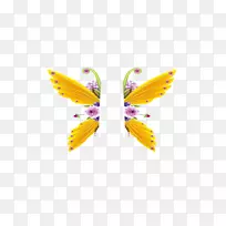 �������ػ���-һ�Գ��-������