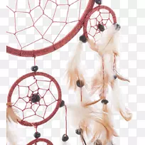 拉链犬鼻犬科-狗-空若网 拉链犬鼻犬科-狗-空若网