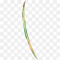 Ҷˮ�ʻ�.�ֻ�ֲ��-������