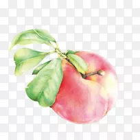 �һ��ֻ����ͼ-������