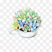 纸色铅笔肉质植物水彩画-肉质花束-空若网 纸色铅笔肉质植物水彩画-肉质花束-空若网