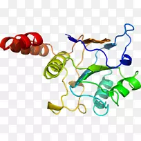 人体首饰有机体线剪贴画线-空若网 人体首饰有机体线剪贴画线-空若网