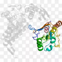 �ߵ������������-������