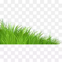 ��ƺ������-��-������