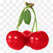 ӣ�Ұ¸���˹������-ӣ��-������