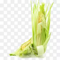 玉米芯上的糯玉米蔬菜鲜玉米-空若网 玉米芯上的糯玉米蔬菜鲜玉米-空若网