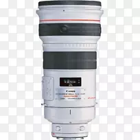 照相机镜头佳能镜头安装佳能300 mm镜头照相机镜头-空若网 照相机镜头佳能镜头安装佳能300 mm镜头照相机镜头-空若网