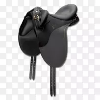 澳洲马鞍西部马鞍温特克马匹-空若网 澳洲马鞍西部马鞍温特克马匹-空若网