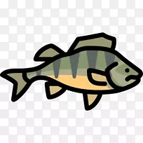 �����������.����-������