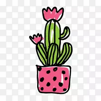 �����ƿ�ֲ��������ͼƬ-������