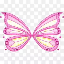 风扇艺术爱好者俱乐部-粉红翅膀-空若网 风扇艺术爱好者俱乐部-粉红翅膀-空若网