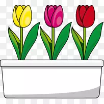 郁金香切花剪贴画-郁金香-空若网 郁金香切花剪贴画-郁金香-空若网