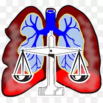 间皮瘤律师诉讼律师事务所-律师-空若网 间皮瘤律师诉讼律师事务所-律师-空若网