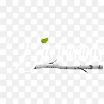 ���������ﴫͳ���ֲ�-������