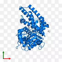 人体行为线有机体剪贴画线-空若网 人体行为线有机体剪贴画线-空若网