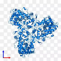 �ߵ�������-������