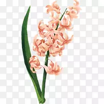 ���ѷ�����-������