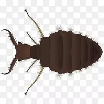 ���洫���߿�ʨ�Ӻ���������������-����-������