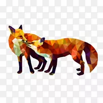 红狐鼻子野生动物-狐狸-空若网 红狐鼻子野生动物-狐狸-空若网