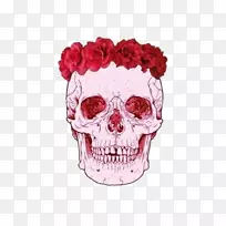 ��ֽ����ͷ����������ճ��ͷ��-������