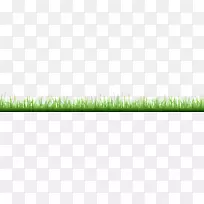 草角植物茎科-草-空若网 草角植物茎科-草-空若网