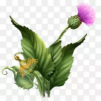 水彩画花画-空若网 水彩画花画-空若网