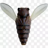 ����-������