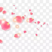 花瓣花萼片梅花桃花落花-空若网 花瓣花萼片梅花桃花落花-空若网