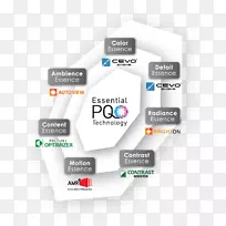 Ʒ���������-������