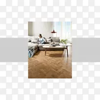 ľ�ذ壬�д���ϩ���ɷֵĴ�ש��ľ.Ӣ����ľ-������