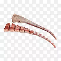 ţβţ�⡢����˹ţ�������������-��������-������