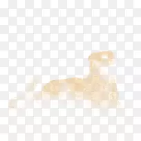 È®¿ÆÈ®±Ç×ÓÈ®-¿ÕÈôÍø È®¿ÆÈ®±Ç×ÓÈ®-¿ÕÈôÍø