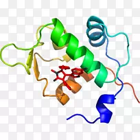 生物线动物剪贴画线-空若网 生物线动物剪贴画线-空若网