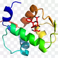 有机体剪贴画设计-空若网 有机体剪贴画设计-空若网