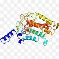 生物线动物剪贴画线-空若网 生物线动物剪贴画线-空若网