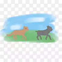 猫科犬鼻子猫-空若网 猫科犬鼻子猫-空若网