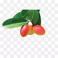 ��ȻʳƷ-������-������