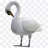 �����������������-��ͨ���ࡢ���桢����������ͼƬ-������