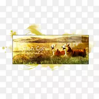 ¹ã¸æÉãÓ°Ïà¿òÒ°Éú¶¯Îï-¿ÕÈôÍø ¹ã¸æÉãÓ°Ïà¿òÒ°Éú¶¯Îï-¿ÕÈôÍø