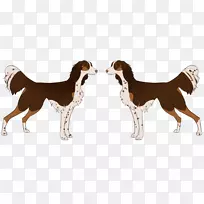 Ȯ�ֶ����������ϡƷ��Ȯ-������