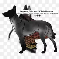 犬种鼻子-稀有品种犬-空若网 犬种鼻子-稀有品种犬-空若网