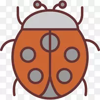 ���������ͼ�μ�����.ư��-������