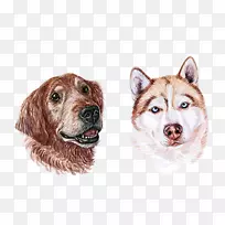 С¹·Æ·ÖÖË®²Ê»-Ë®²Ê»Ð¡¹·-¿ÕÈôÍø С¹·Æ·ÖÖË®²Ê»-Ë®²Ê»Ð¡¹·-¿ÕÈôÍø