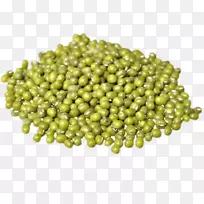 ��ѿ��ѿ�л�ʳƷ�̶�-������