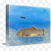 海洋生物生态系统海洋动物群-动物-空若网 海洋生物生态系统海洋动物群-动物-空若网