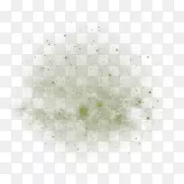 ��ζ������ζ��-������