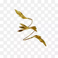 商品胸腺-空若网 商品胸腺-空若网