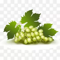 葡萄酒葡萄.抽象图案-空若网 葡萄酒葡萄.抽象图案-空若网