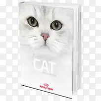 胡须猫,家用短毛猫鼻子-小猫-空若网 胡须猫,家用短毛猫鼻子-小猫-空若网